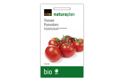 Image of Bio Naturaplan Tomate 'Flonda'