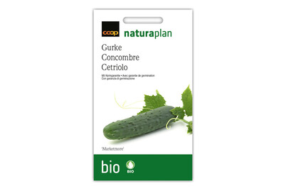 Image of Bio Naturaplan Gurke Marketmore bei JUMBO