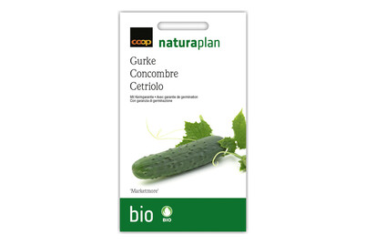 Image of Bio Naturaplan Gurke Marketmore