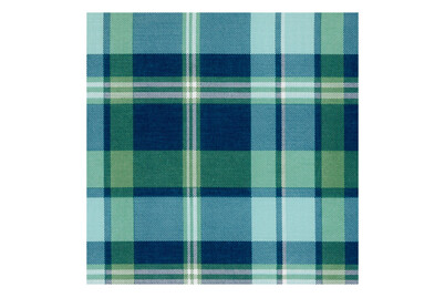 Image of Kissen Monza Mono 4er-Set karo grün bei JUMBO