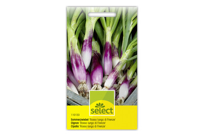 Image of Select Sommerzwiebel Lunga di Firenze bei JUMBO