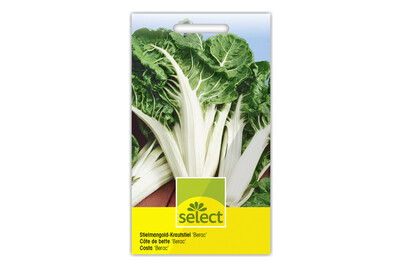 Image of Select Stielmangold Berac bei JUMBO