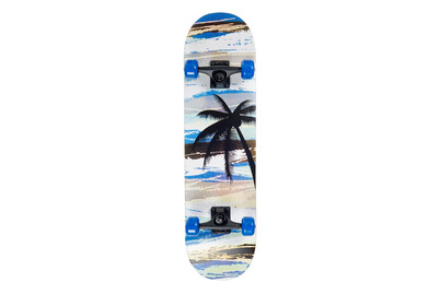 Image of Schildkröt Skateboard Slider 31 Aloha
