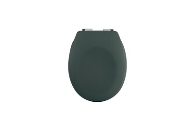 Image of Spirella WC-Sitz Thermo hard Neela Matt Dunkelgrün bei JUMBO