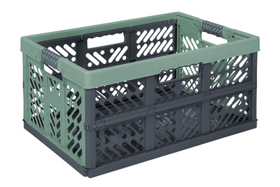 Image of keeeper Klappbox 45 l green bei JUMBO