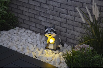 Image of Solar Tier Waschbär bei JUMBO