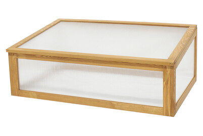 Image of Frühbeet Kiefer bei JUMBO