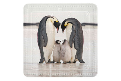 Image of Duscheinlage Jacksons weiss schwarz 55x5 bei JUMBO