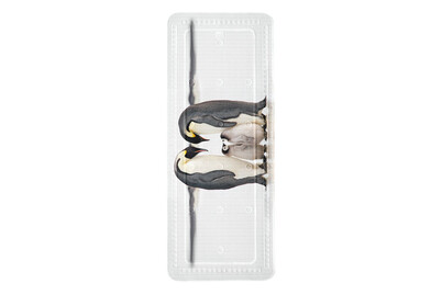 Image of Wanneneinlage Jacksons weiss schwarz 36x bei JUMBO