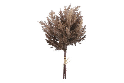 Image of Erica braun samtig ØxH 39x18cm bei JUMBO