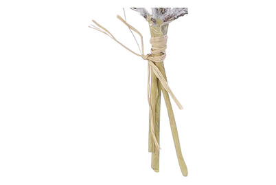 Image of Erica creme samtig ØxH 39x18cm bei JUMBO