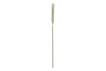 Image of Plume grasgrün 104cm