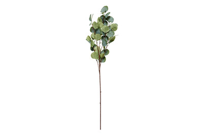 Image of Eukalyptus grün 93cm