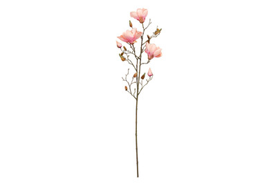 Image of Magnolie rosa 88cm