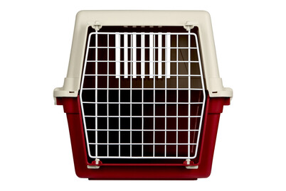 Image of Transportboxe Atlas 30 EL bordeaux bei JUMBO