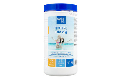 Image of Quattro Tabs 20g Wellsan 1 kg bei JUMBO