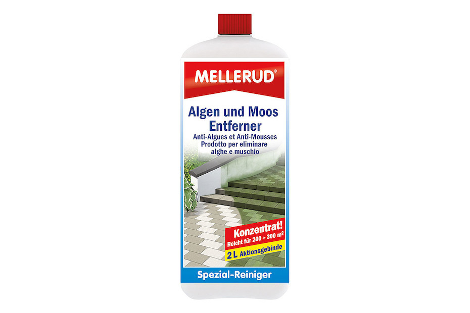 Http Www Algen Moos Schimmel Entfernen At Schimmelentferner