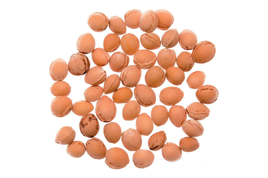 Noyaux de cerise - 750 g