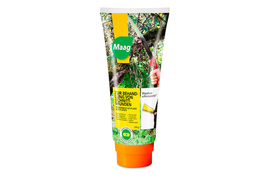Mastic Japonais Pour Bonsaï Conifères - Pâte Cicatrisante 500g | Soin Professionnel Après Taille