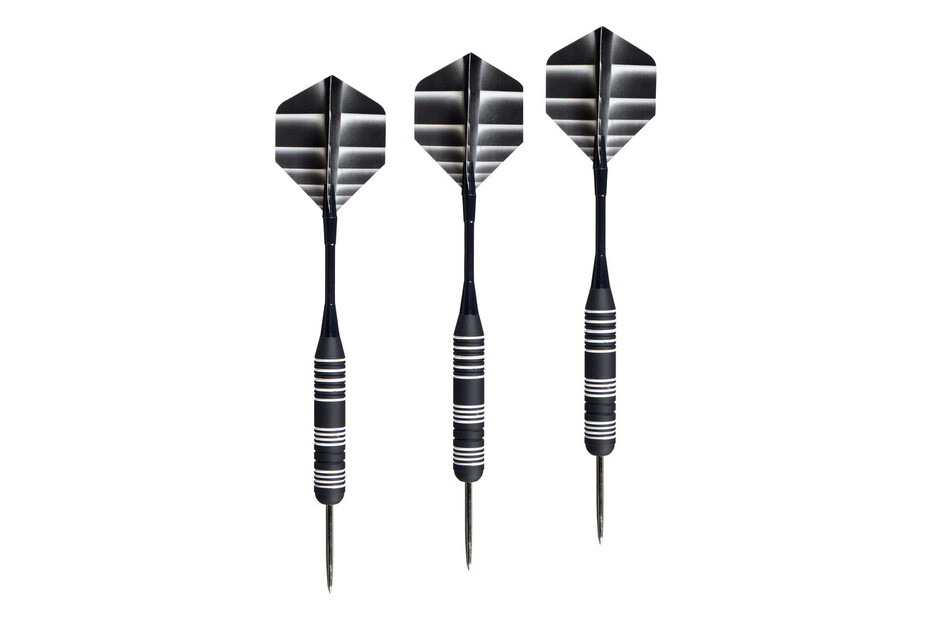 Pochette pour fléchettes 3D - Unicorn Darts - Argent - Protection renforcée  - 3 ouvertures zippées - Cdiscount Jeux - Jouets