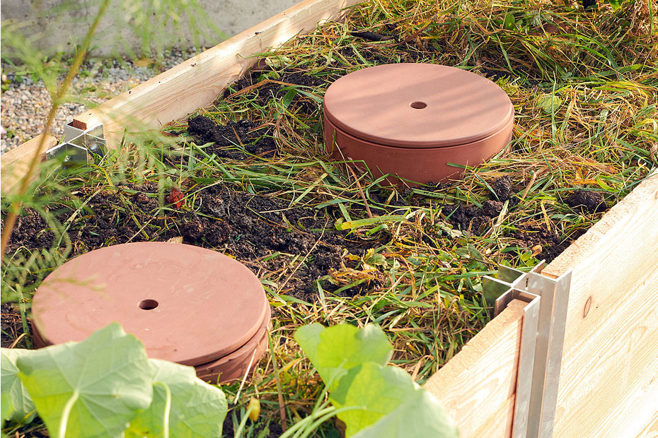 WormUp Vers de compost pour composteur de jardin Acheter chez JUMBO