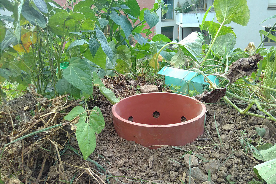 WormUp Vers de compost pour composteur de jardin Acheter chez JUMBO