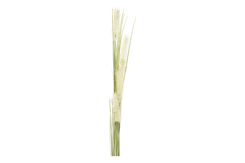 Dekorationspflanze Mica Decorations Dogtail PVC main image 0