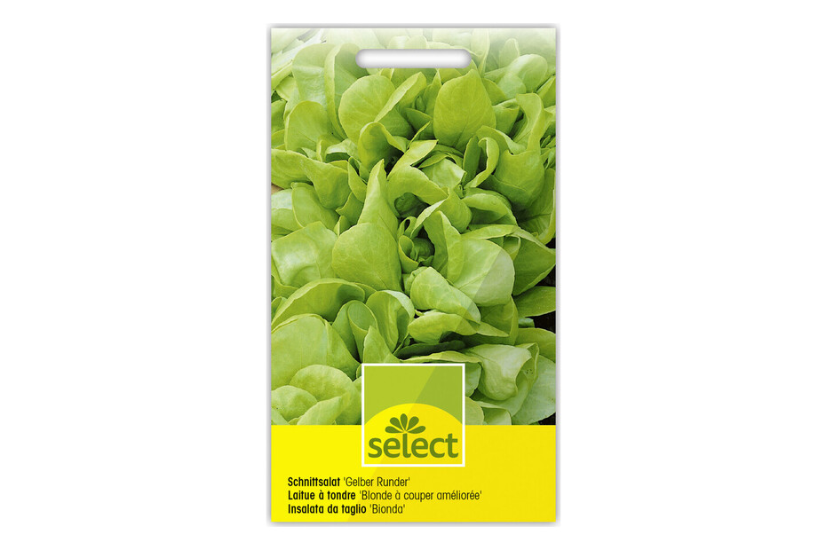 Misticanza Salat-Saatgut – Italienische Blattsalat-Mischung, 1000 Korn, Für Balkon & Garten