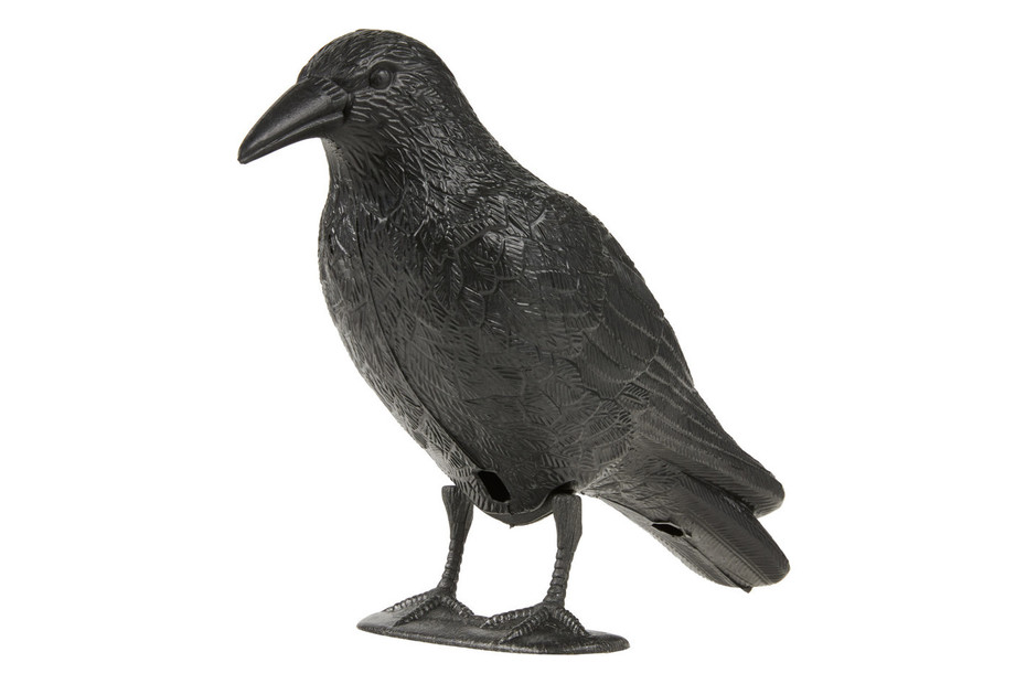 Corbeau De Jardin Anti-pigeon - Objet de décoration extérieur BUT