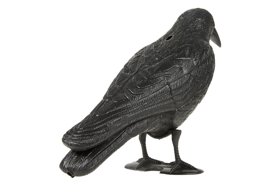 Dissuasion pour pigeons Rabe  40 × 14 × 12 cm Acheter chez JUMBO