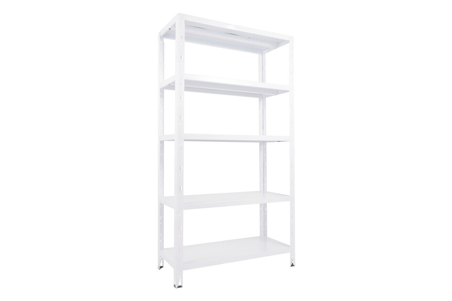 ayce Steckregal Home