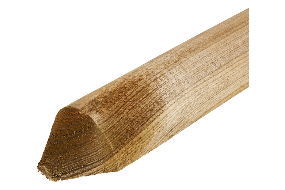 Zaunlatte Kiefer | 120 cm kaufen bei JUMBO