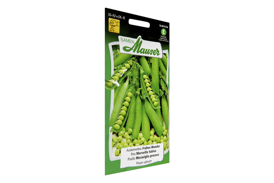Erbse 'Corne de Belier' (Pisum sativum) Samen