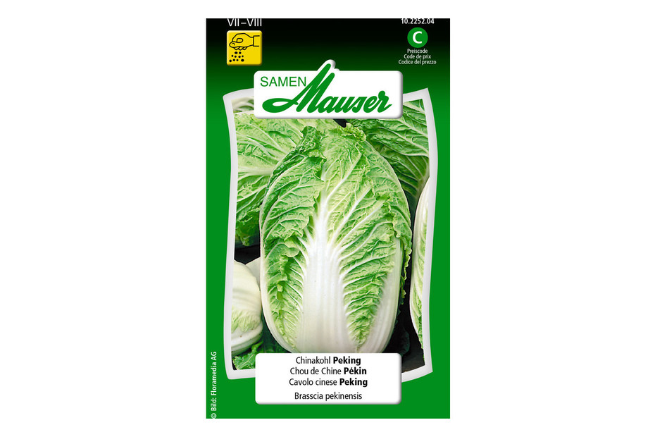 Samen Mauser Chinakohl Peking kaufen bei JUMBO Samen Mauser Chinakohl Peking kaufen bei JUMBO