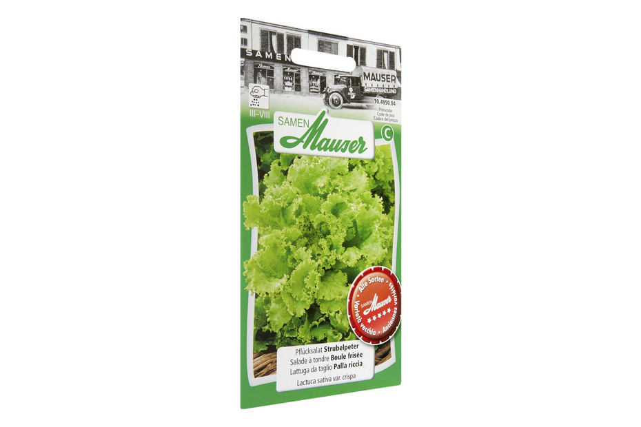 Samen Mauser Pflücksalat Strubelpeter kaufen bei JUMBO