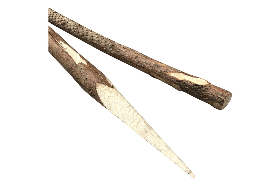 Bohnenstange Konisch ⌀ 5 × 250 cm kaufen bei JUMBO