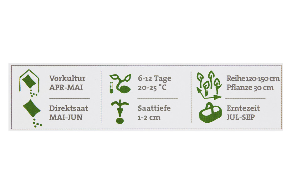 SPERLI Cornichons à insérer Excelsior Acheter chez JUMBO
