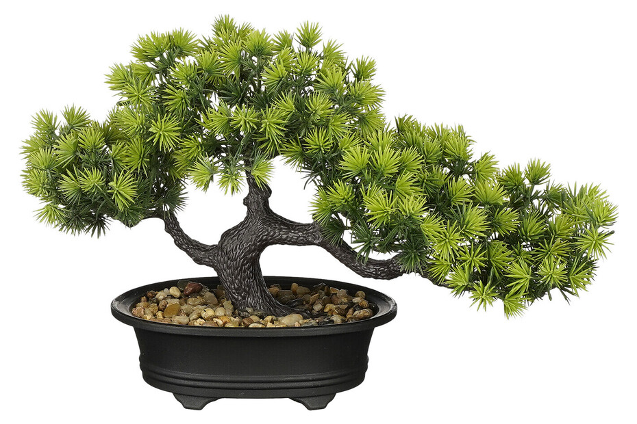 Mica Bonsai im Topf Grün 33 × 13 × 21 cm kaufen bei JUMBO