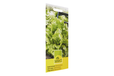 Image of Select Eissalat Dorée De Printemps