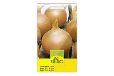 Image of Select Küchenzwiebel Zittauer Gelb