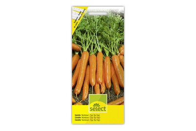 Image of Select Samen Karotte Nantaise Tip-Top