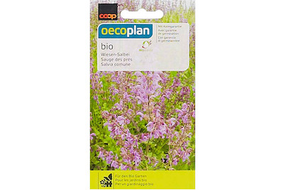 Image of Oecoplan Wiesen-Salbei Bio