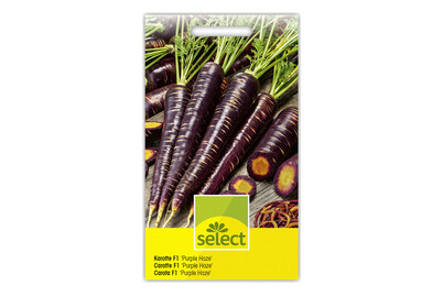 Image of Select Karotte Purple Haze