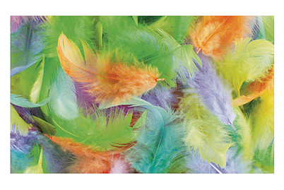 Image of Rayher Federmischung | 3-10 cm | 10 g