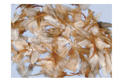 Image of Rayher Federmischung Brünett | 6-15 cm | 10 g
