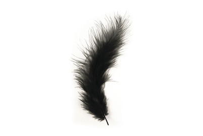 Image of Rayher Flauschfedern Schwarz | 10-15 cm | 15 Stück