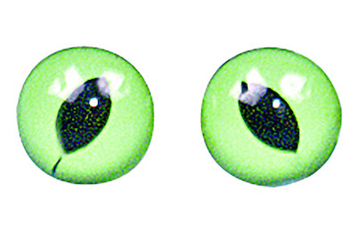 Rayher Occhi di gatto in plastica Verde-Nero | 8 mm | 10 pezzi