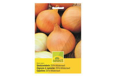 Select Steckzwiebel Zefa-Wädenswil 500 g