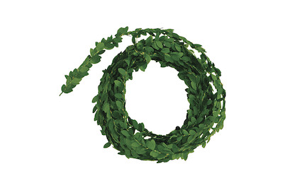Image of Rayher Buchs-Girlande | 500 cm