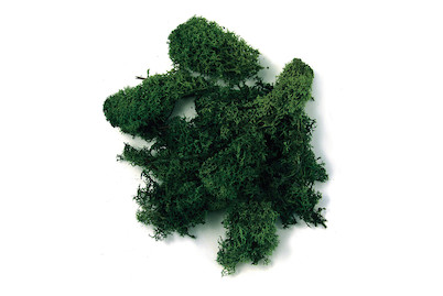 Image of Rayher Islandmoos Dunkelgrün | 100 g